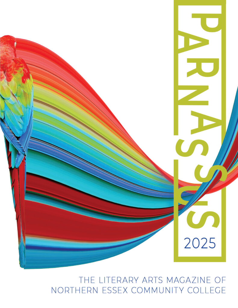 cover image of parnasuss magazine features rainbow-like swirl with the magazine title written sideways in green