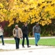 Enrollments are Up at NECC
