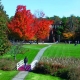 NECC Open House Set for November