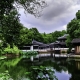 NECC’s First Friday Events Focus on East Asia