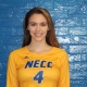 NECC Volleyball Players Named to All-Region Teams