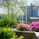 Eighteen NECC Professors Transform Courses with AI and Open Educational Resources