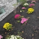 Lawrence Disabled American Veterans Donate Garden to NECC