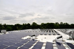 These solar panels on the roof of Leewood Realty will generate solar energy for NECC.