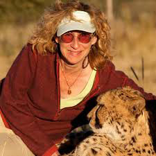 Immersion author Sy Montgomery will be the next speaker in the NECC STEM Speaker's Series. She will discuss her new book "The Soul of an Octopus".