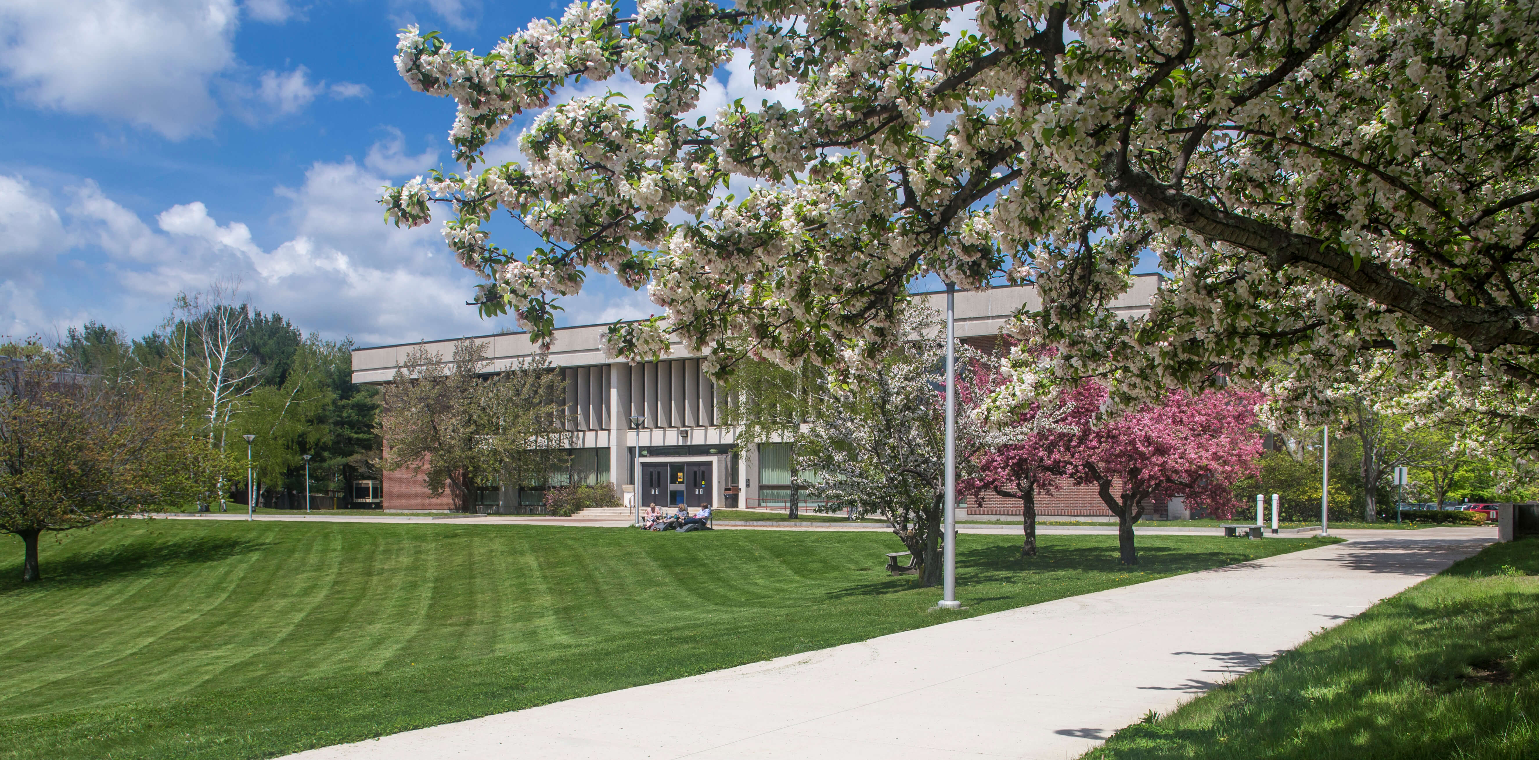 About Northern Essex Community College