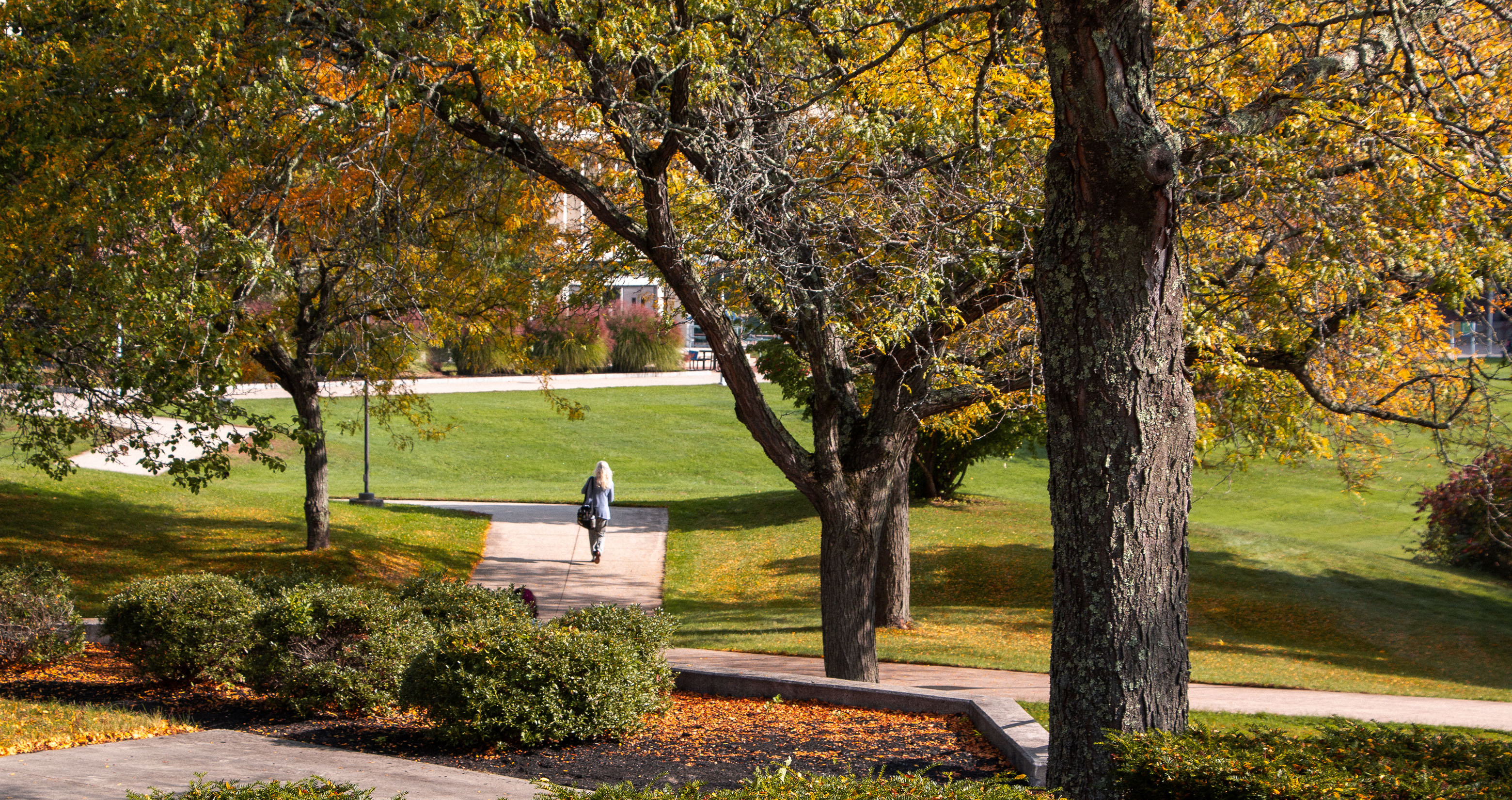 fall_hero-2025_1-full-2