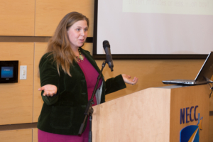 Professor Marcy Vozella discusses changes coming to NECC.