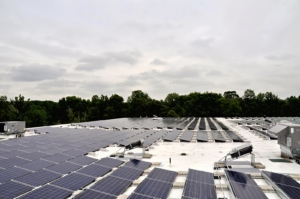 These solar panels on the roof of Leewood Realty will generate solar energy for NECC.