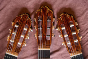 guitar heads newsroom