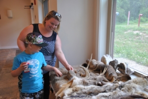 NECC's Tina Favara and son Lucca examine the animal pelts on display at Quarrybrook.