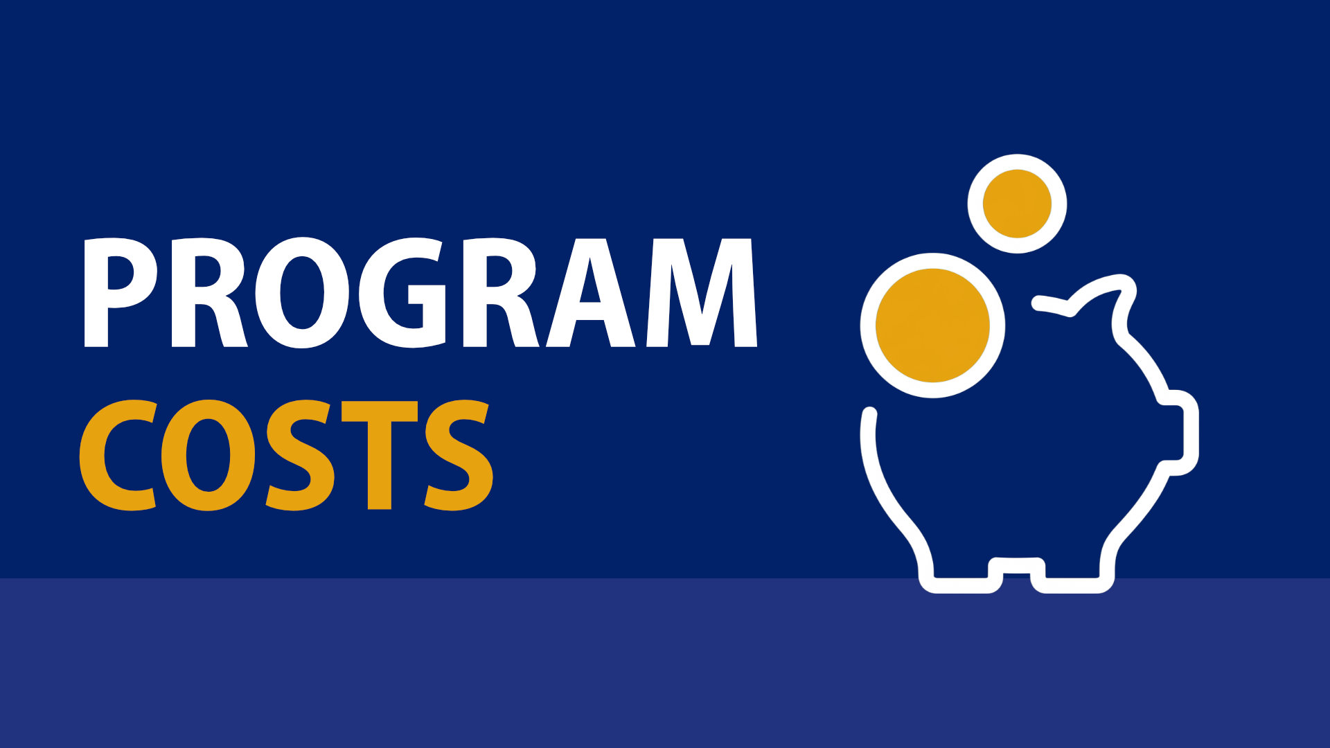 Program Costs